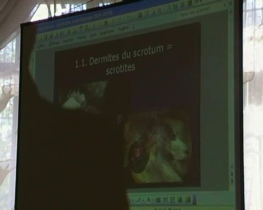 Isaste koerte sigimispatoloogiad 2