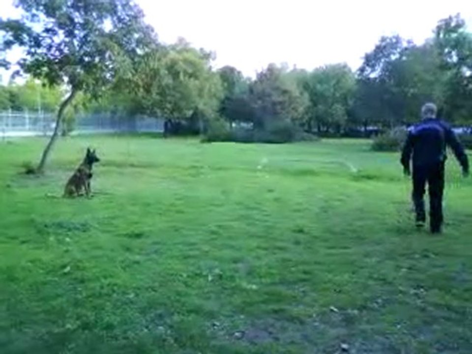 тренировка-