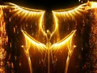 Scénographie concert Johnny Hallyday 2009 phoenix