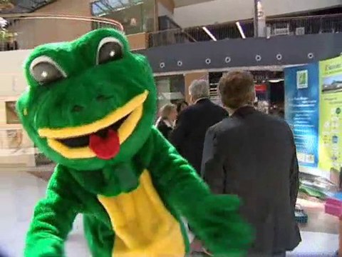 Calaisis TV : Les 4B en vert