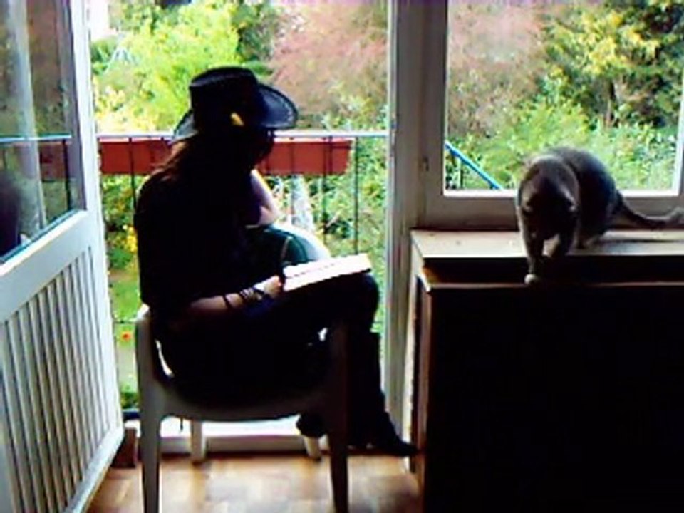 Lectomaton IESSID Le Petit Prince, Antoine de Saint Exupéry