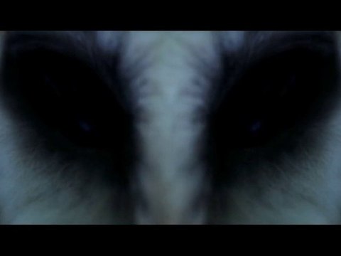 PHENOMENES PARANORMAUX - Bande-annonce - VOST