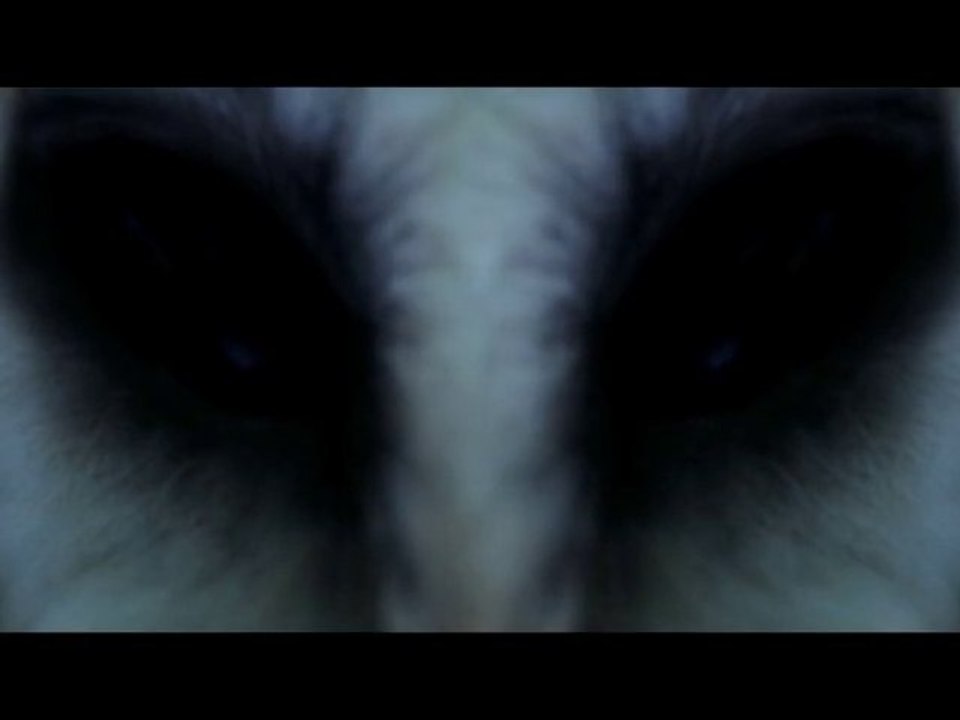 PHENOMENES PARANORMAUX - Bande-annonce - VOST