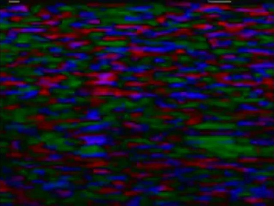 "LA TÉLÉ COMMANDE" - Vidéo-propagande N°2 (M.T Corp)