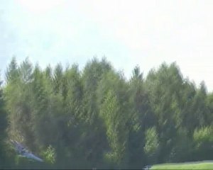 tigercat à aigle