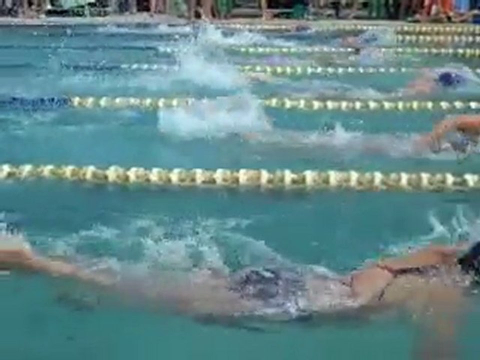 Bernews: BASA Swim Meet
