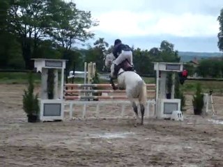Un beau cheval gris