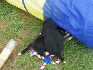 Jeux extérieurs 31 Mai 2010