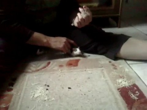 1er calin hors cages