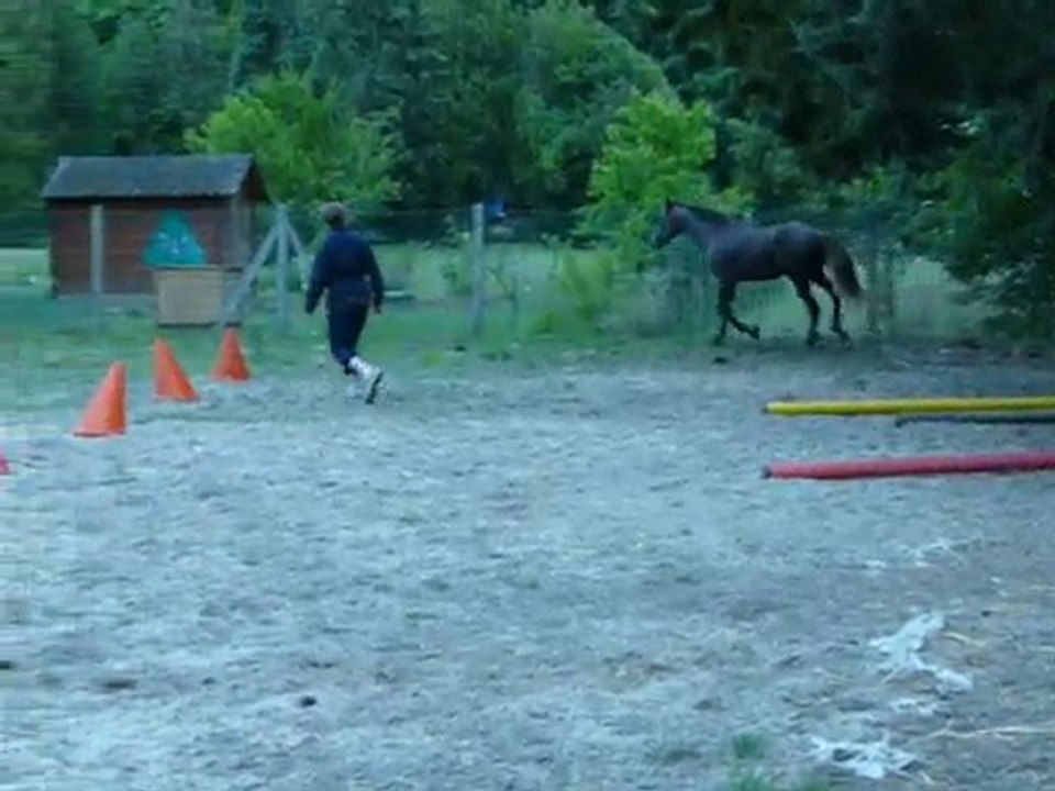 Vassalah_séance en liberté 30 mai 2010