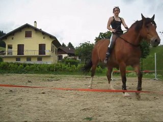 lib, longues rênes_0001