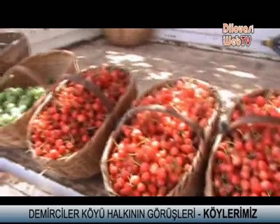 DEMİRCİLER KÖYÜ HALKININ GÖRÜŞLERİ  - DİLOVASI