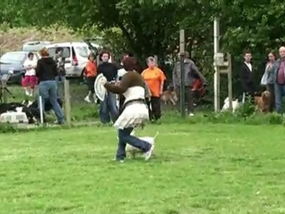 1er Demo Choree Sweepy TORCY mai 2010