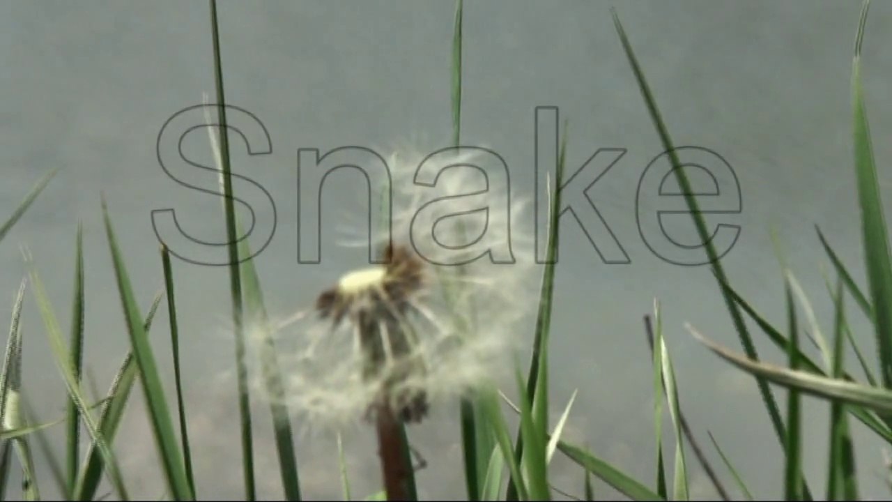 Snake