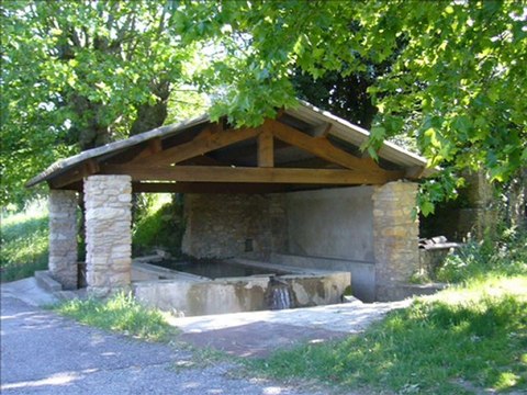 Garrigue en mai 2 eme partie