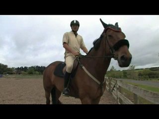 Show Jumping - Thoroughbred floats - New Zealand 2