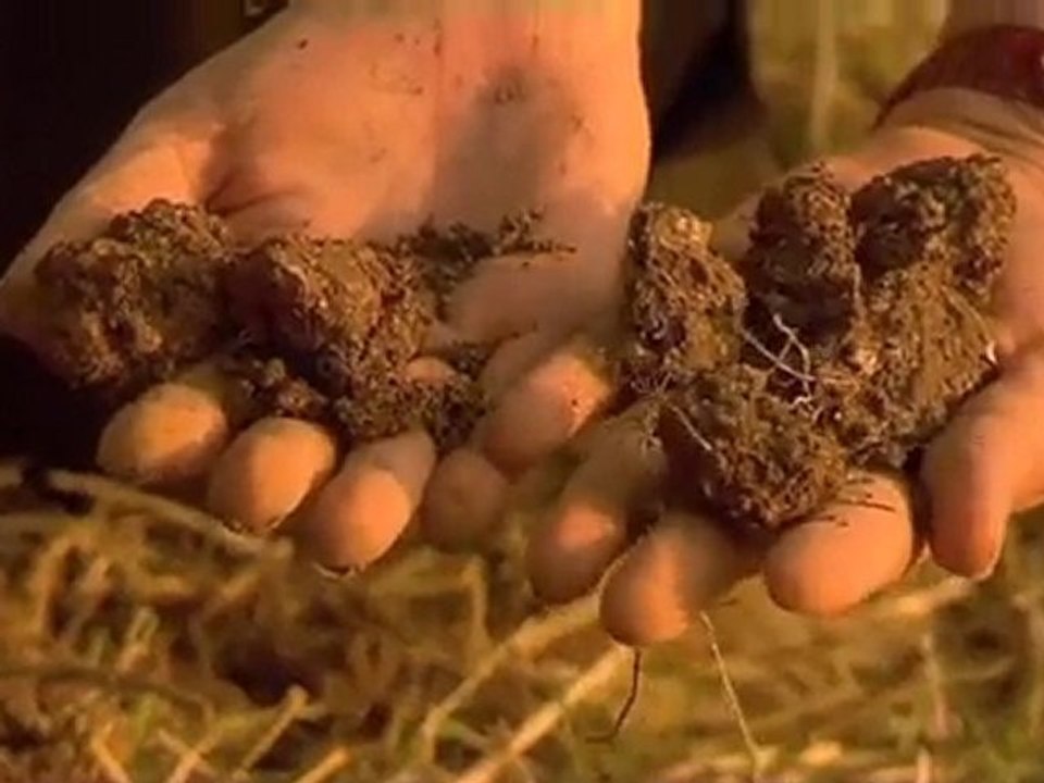 Claude Lydia BOURGUIGNON, mort des sols = mort des hommes !