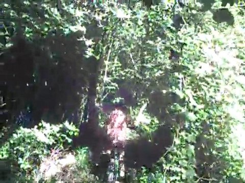 sortie vtt avec ma fille