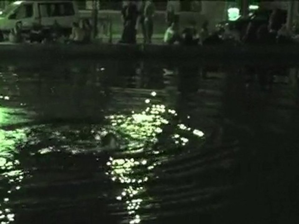 Papi se jette du haut d'une passerelle au canal St Martin !