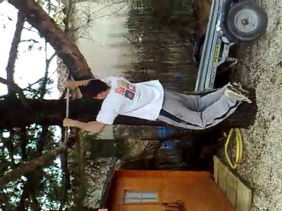 muscu nico