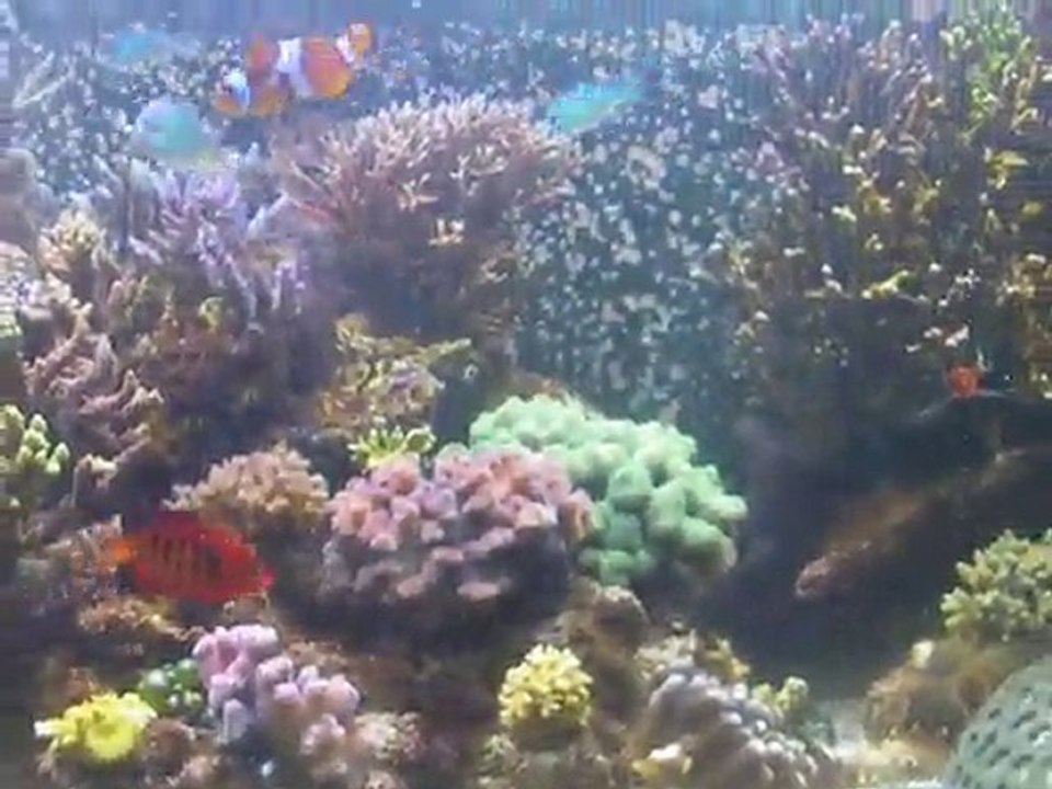 IMGP3298