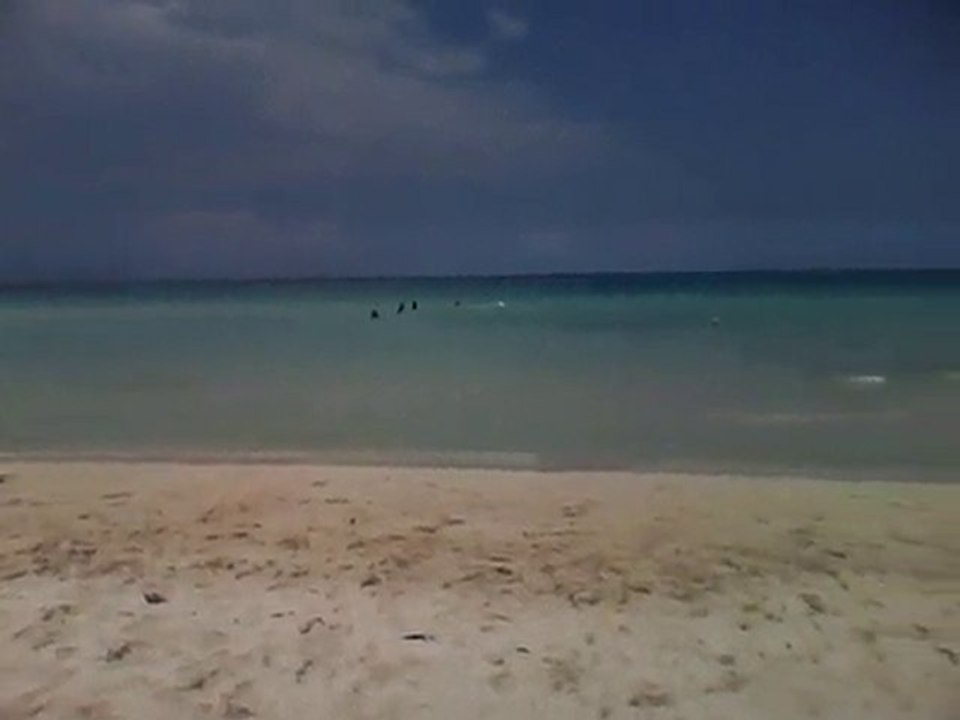 MIAMI2010-1