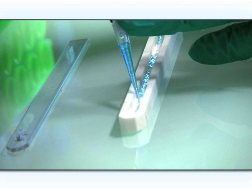 ULB Institut de Biologie et de Médecine Moléculaire IBMM