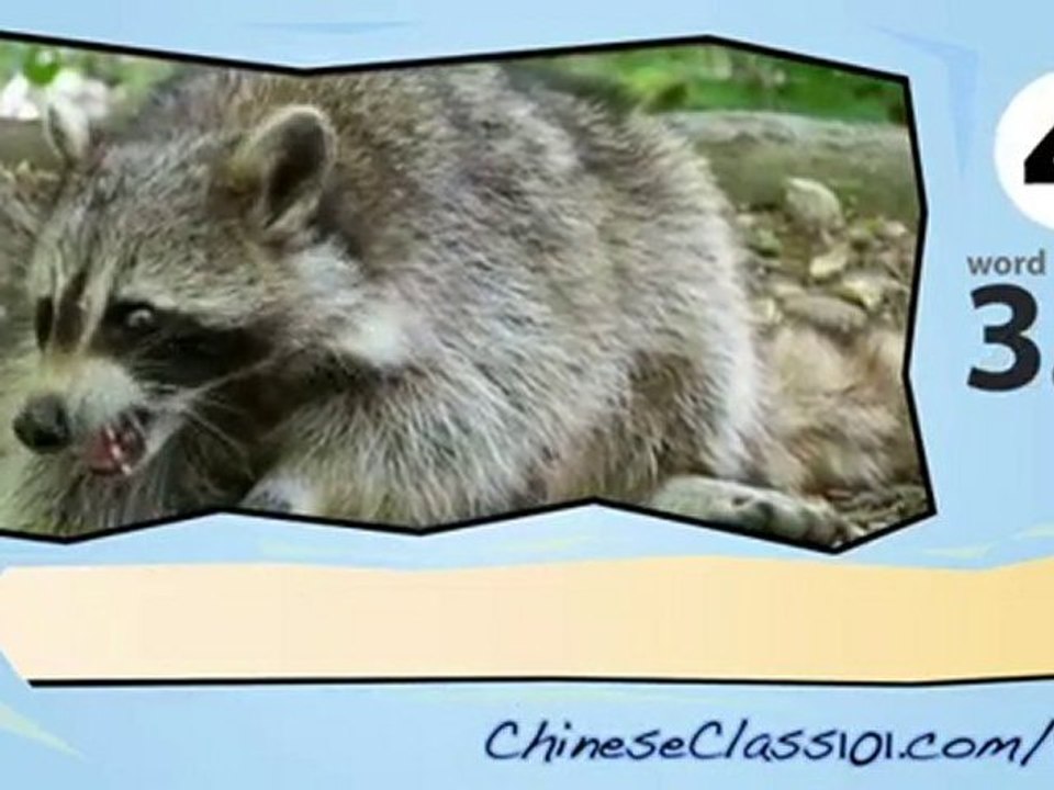 learn Chinese-Learn with Chinese Forest animals video