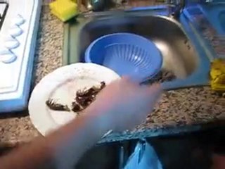 ßyn. upload DeRYa DaVRaN