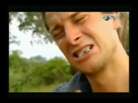 Une grosse larve bien juteuse ( 8)-Bear grylls - Man vs food