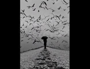 İBRAHİM SADRİ SENİ ÇOK ÖZLEDİM DODURGALI20