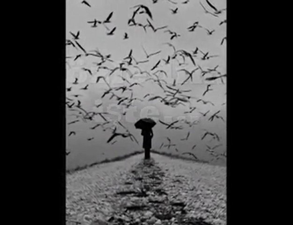 İBRAHİM SADRİ SENİ ÇOK ÖZLEDİM DODURGALI20