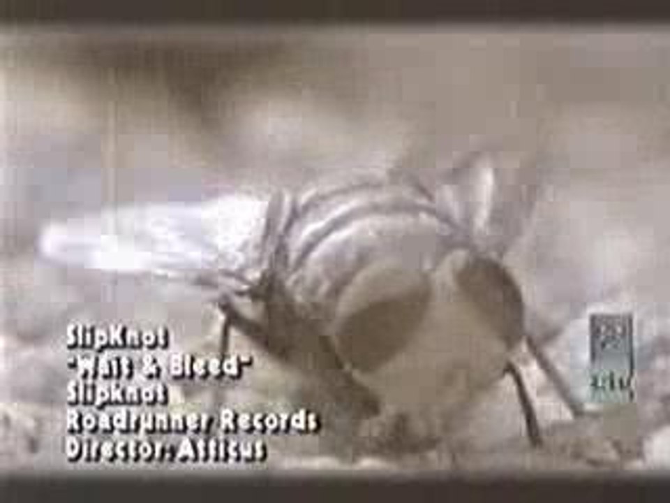 Wait And Bleed (Dolls) - Slipknot