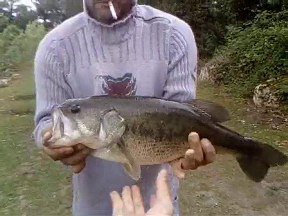 bass 50 up! encore à la craw gary yamamoto
