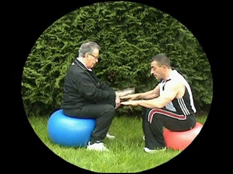 EXERCICES AVEC SWISS BALL POUR PUBLIC SENIOR PLUS