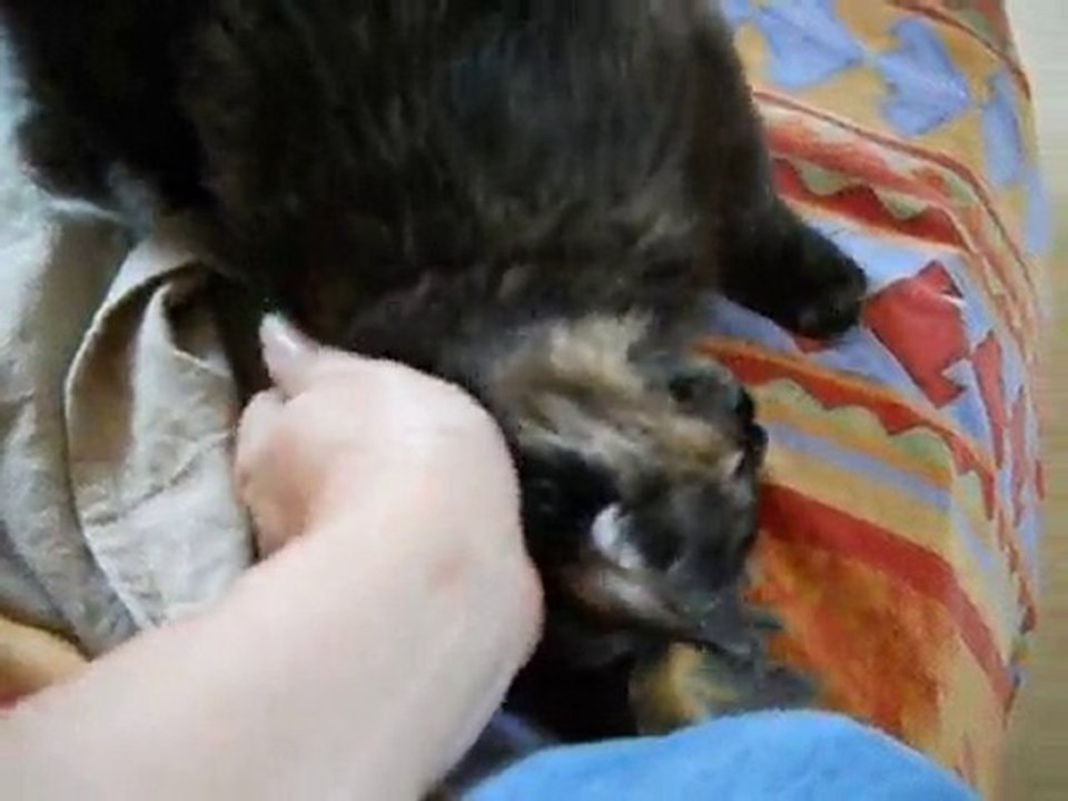 Flea : 1er gros câlin