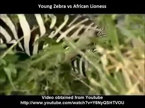 Miracle Series - BigGyan Cloud eLearning