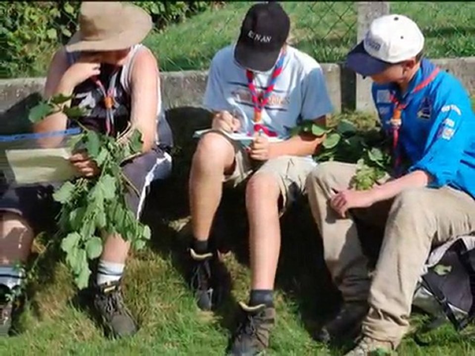 camp scout Brassy 2008