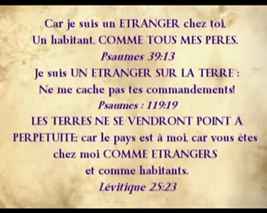 Apocalypsis 33 - Le Livre de Vie 2 -