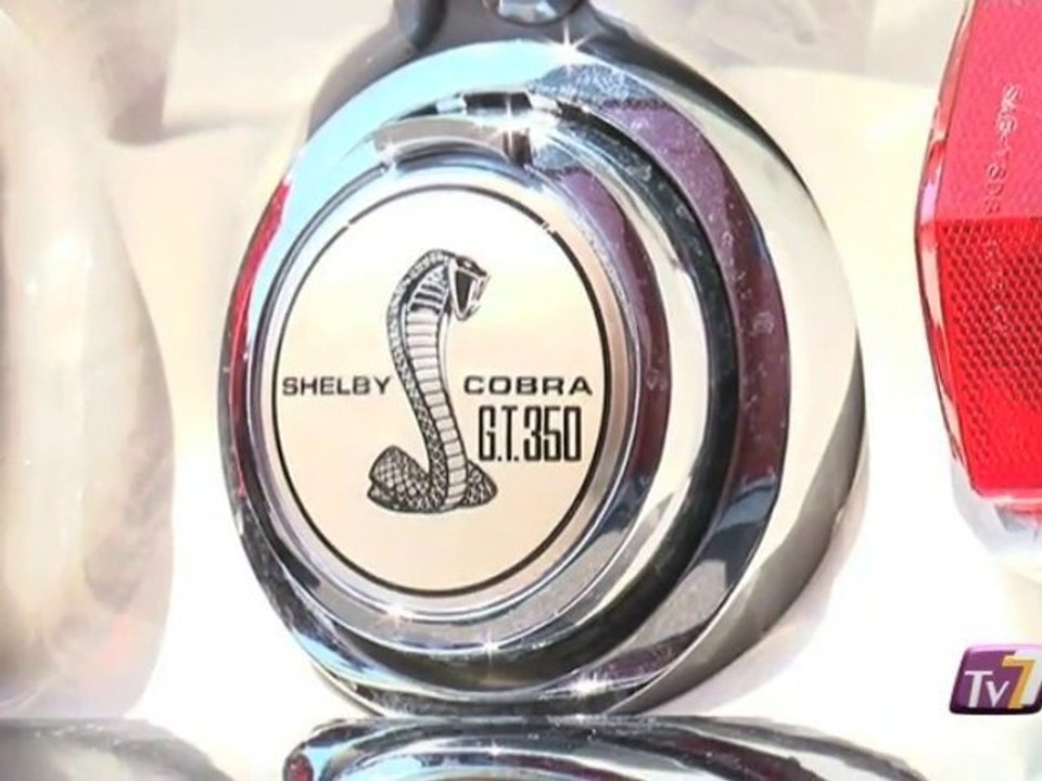 Mustang Nat's 2010 (La Ferté Gaucher)