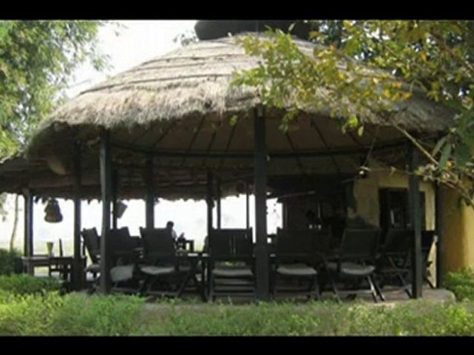 Travel To Care Sapana Village Lodge Sauraha Chitwan Nepal