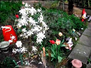 CHATEAU DE PRINTEMPS