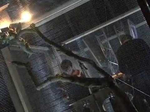 AGENCE VOID, Chants d'oiseaux - La vision acoustique