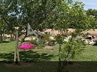 1680000 - Bormes-les-Mimosas - Maison a vandre - Maison d'ho