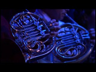 Antònia Font - Dins aquest iglú