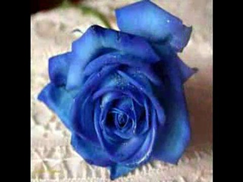 Seninle Başladım Bitsin Seninle