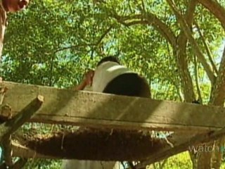 What You Need To Know About Volunteer Travel