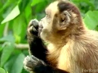 South Bend Apartments For Rent - Find Apartments in ...