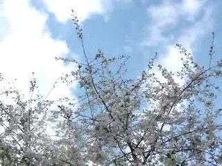 [Lectomaton] La Roue du Temps, de Robert Jordan