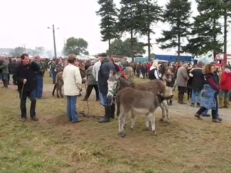 Der Bauernmarkt Saint Luc in Gavray/Normandie
